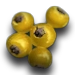 Amarberry