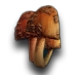 Champignon rare