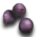 Mejoberry