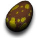 Oeuf de Maewing exceptionnel