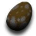 Oeuf de Pachyrhinosaure