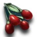 Tintoberry